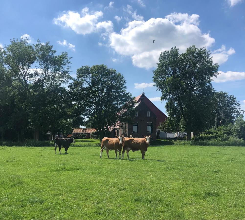 Appartementen Verhuur De Trijehoek Stiens Exteriör bild