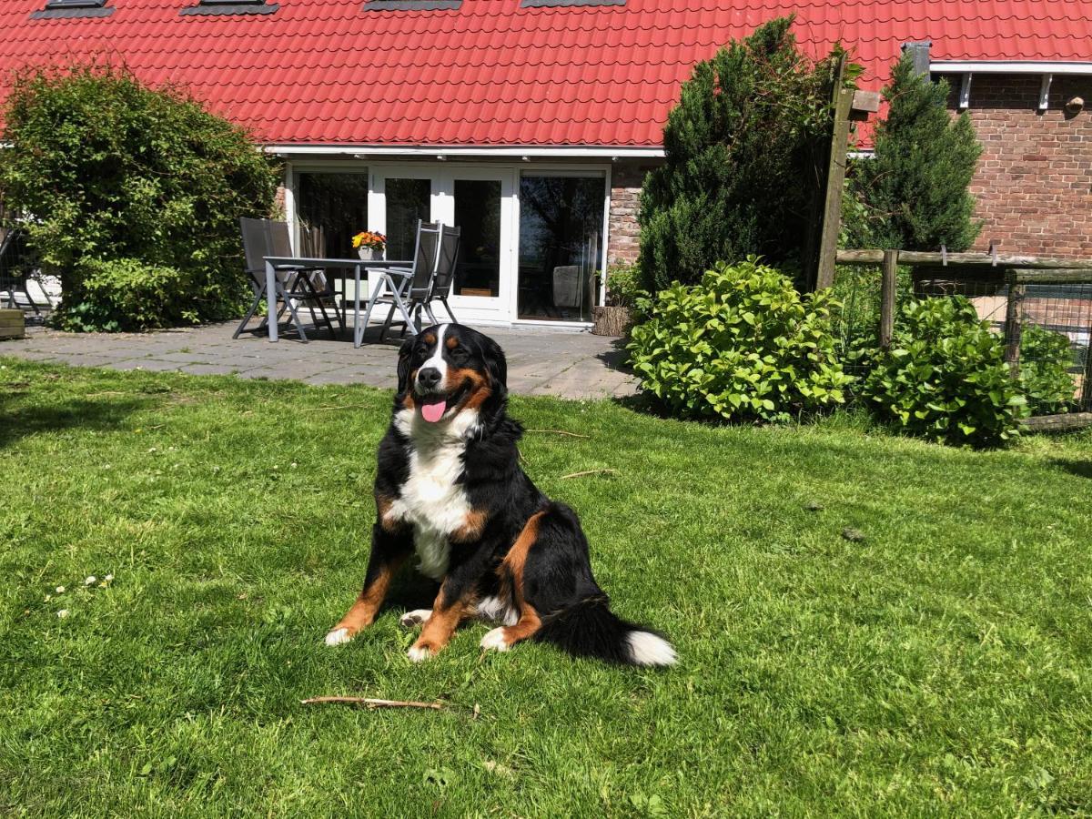 Appartementen Verhuur De Trijehoek Stiens Exteriör bild